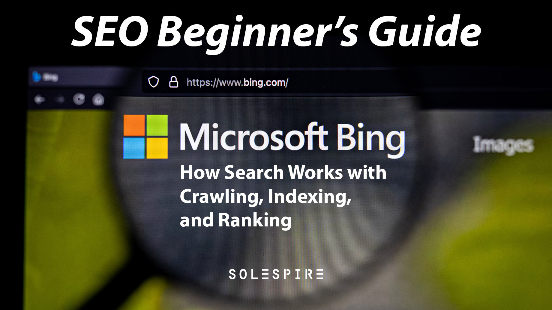 SEO Beginner's Guide: How Bing Search Works With Crawling, Indexing, And Ranking