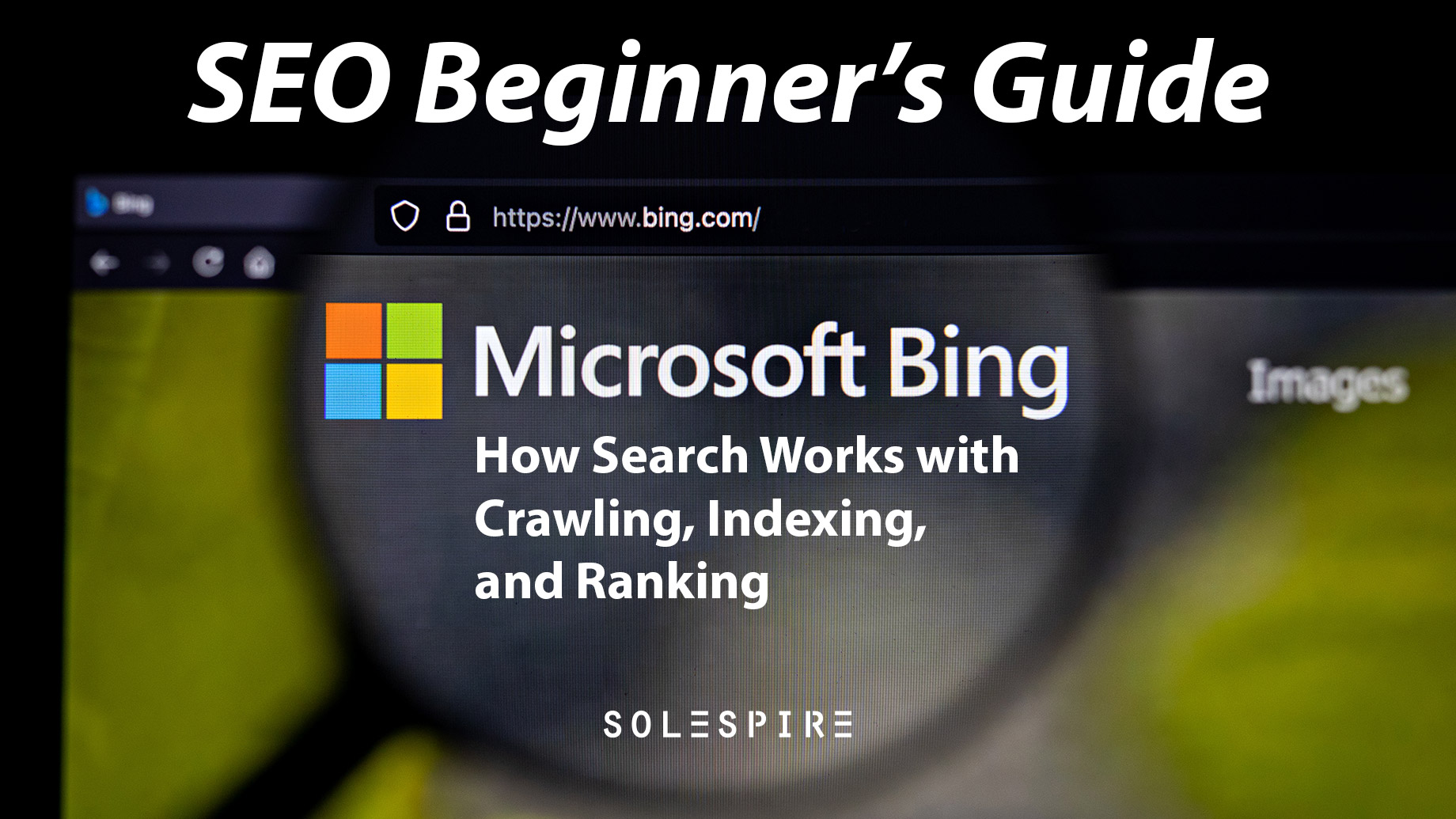 SEO Beginner’s Guide: How Bing Search Works With Crawling, Indexing, And Ranking